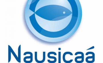 Nausicaa, musée de la mer