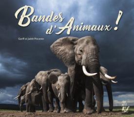 Bandes d'Animaux !